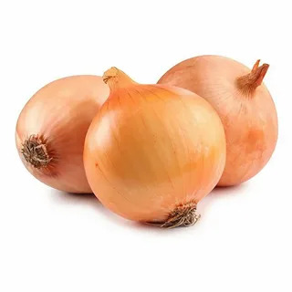 Лук репчатый