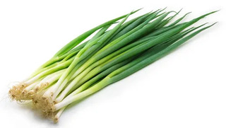 Лук зелёный